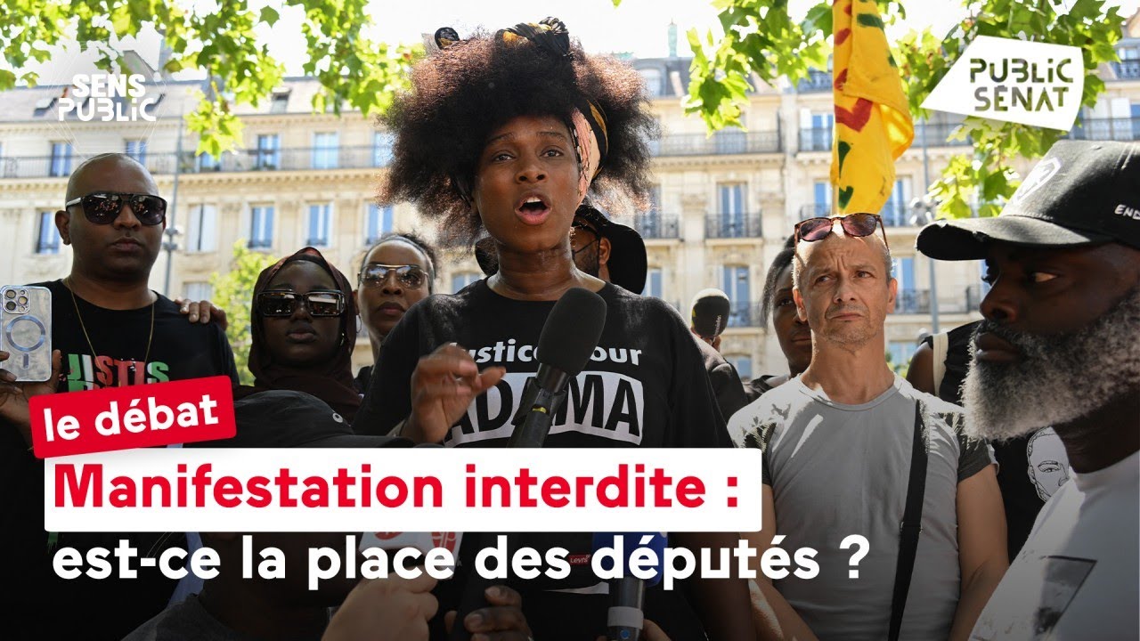 ⁣Manifestation interdite : est-ce la place des députés ?