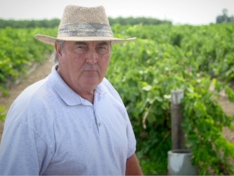 Feds vs. Raisins: Small Farmers Stand Up to the USDA