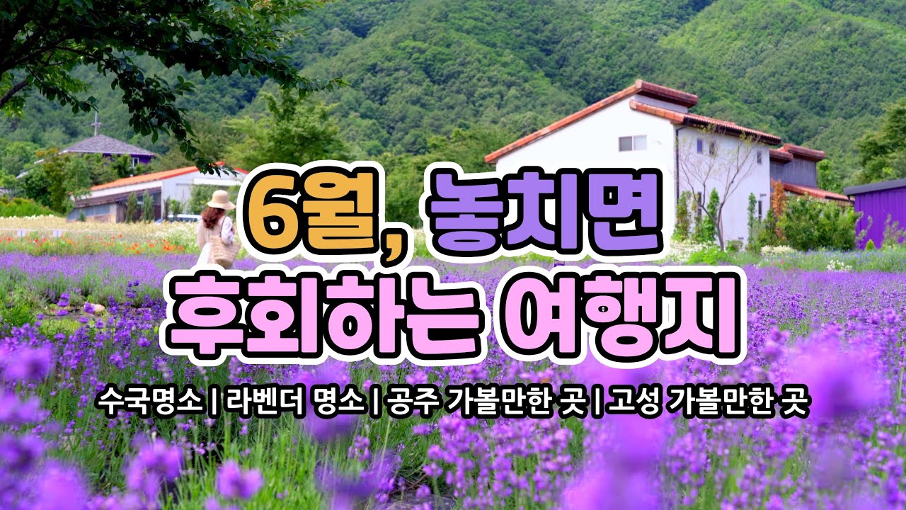 Places To Visit In Korea In June Hydrangea Festival | Hani Lavender Farm |  Lavender | Seomi Garden - Youtube