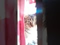 this is kiki