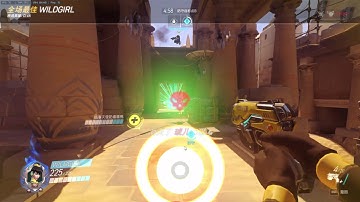 [Overwatch] DVA team kill