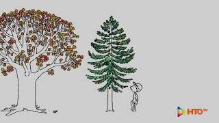 Google Doodle For Earth Day 2021 - .Hto.tv