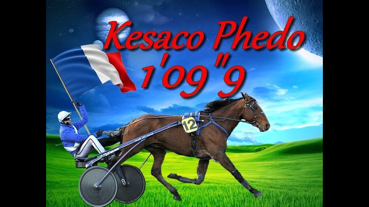 HOMMAGE A KESACO PHEDO