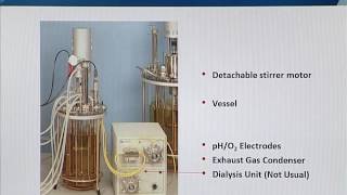 BIO204 Topic028