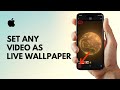 How to Set ANY Video as a Live Wallpaper on iPhone (2025 GUIDE)