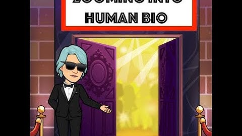 Using Zoom for Our Synchronous Online Meetings