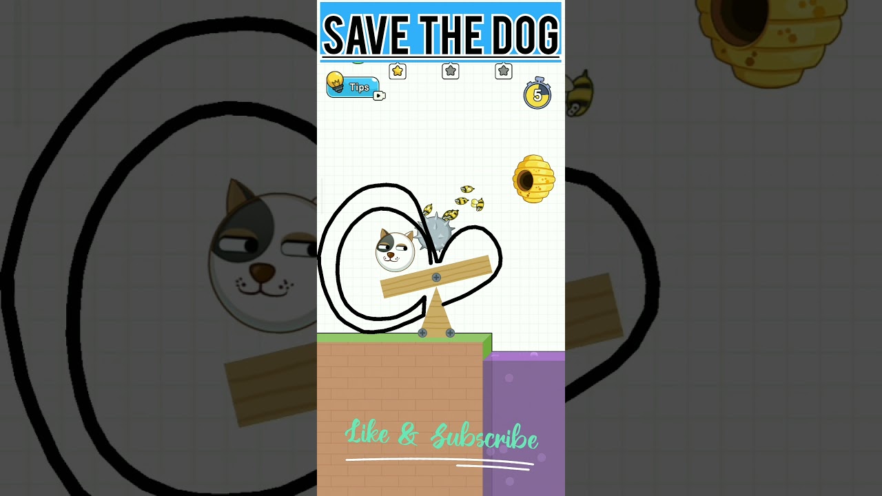 save the dog 🐕 game/mobile game PK. 