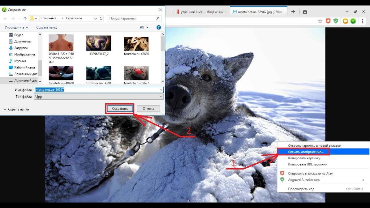 Почему не скачиваются открытки на телефон. Скачивание из интернета картинки. Как сохранить картинку с Яндекса на компьютер. Как качать картинки с Яндекса. Как сохранить картинку в Яндексе.