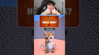 Sad Cats Challenge 😳