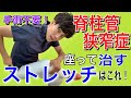 【脊柱管狭窄症ストレッチ】病院でも分からない脊柱管狭窄症を手術せずに治す大殿筋ストレッチです! 神戸市内で唯一の【慢性腰痛】専門 整体院 大鉄 ~Daitetsu~
