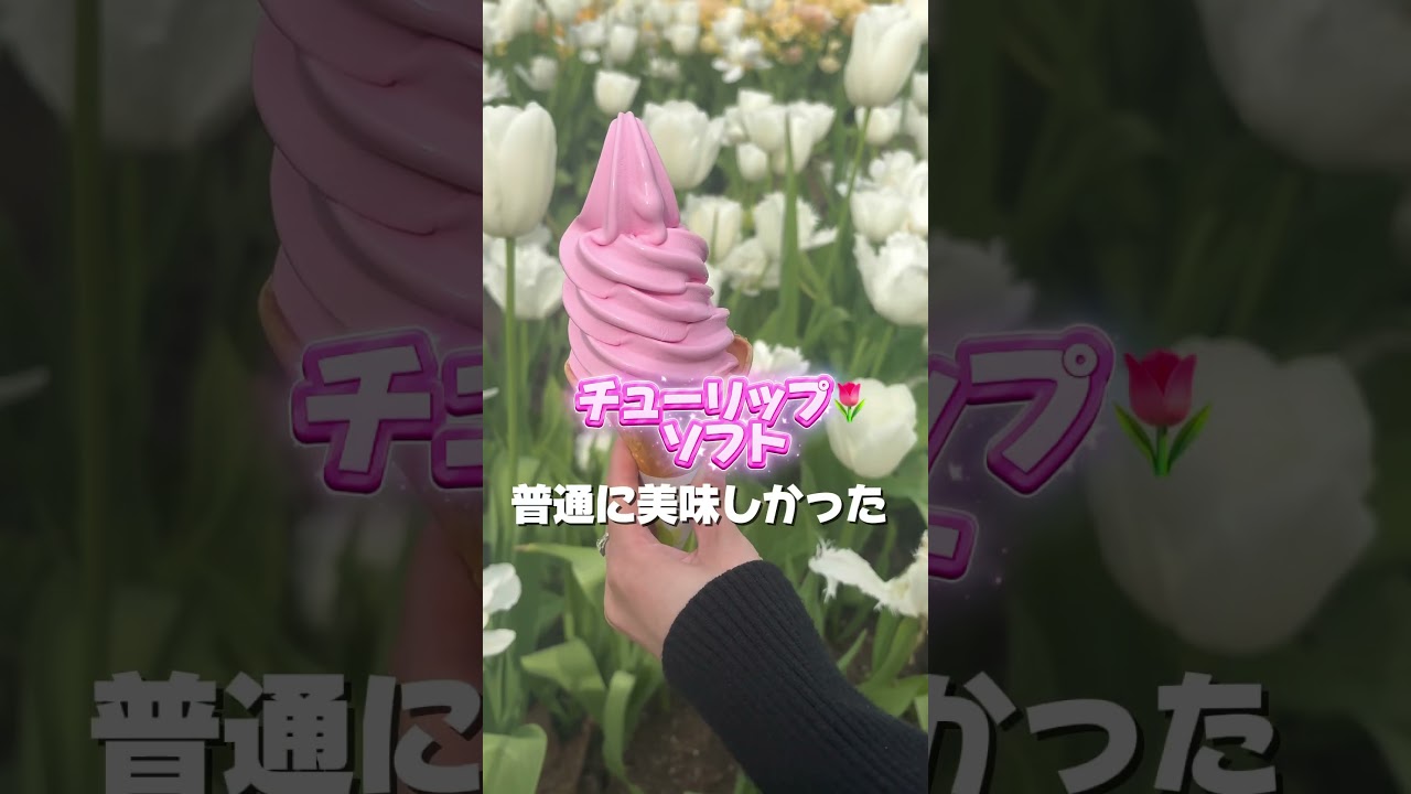砺波チューリップフェア🌷行ってきたよ　#shorts #チューリップ #グルメ #デートスポット #vlog #富山