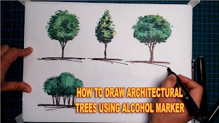 HOW TO SKETCH TREES USING ALCOHOL MARKER AND FINE LINER PEN