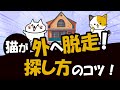 猫が家出・脱走した際の探し方の5つのコツと脱走防止策!