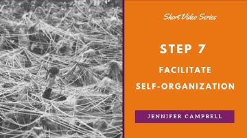 Step 7 - Facilitate Self Organization - Systemic Change Leadership Journey