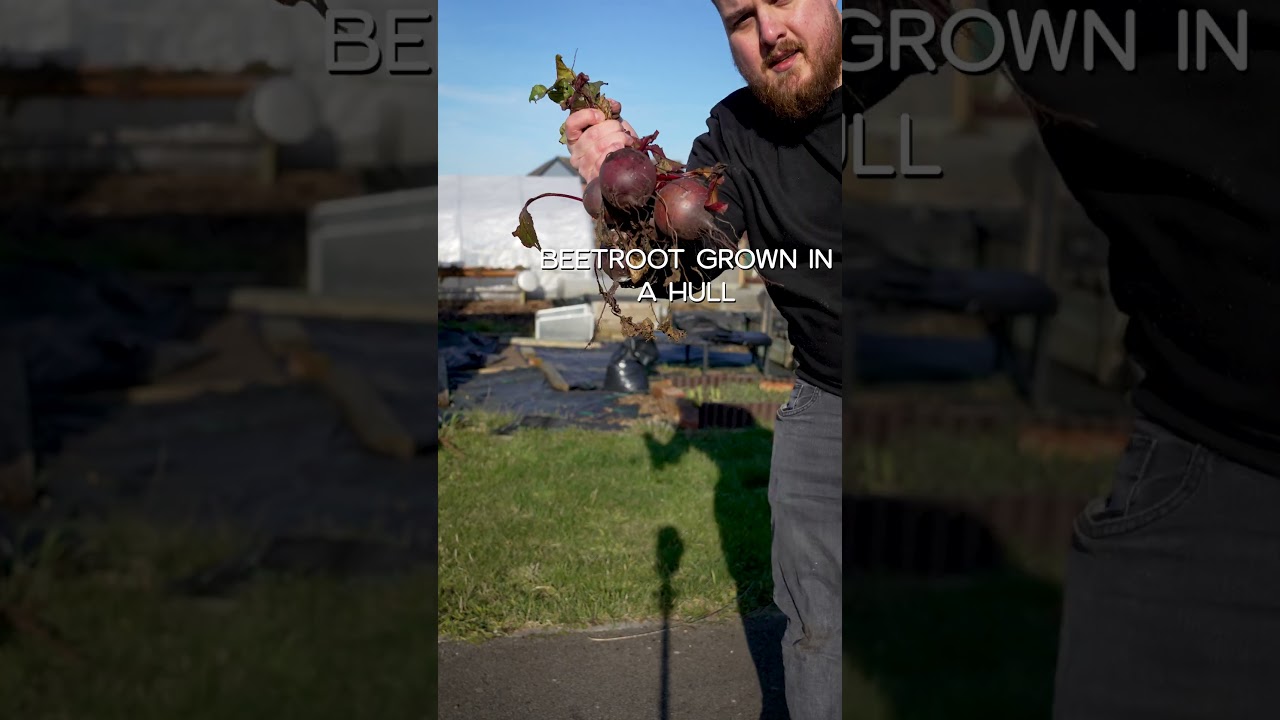 Meet Matt Smith, Global Champion 2025 representing the UK, Jameson Black Barrel Bartender Series