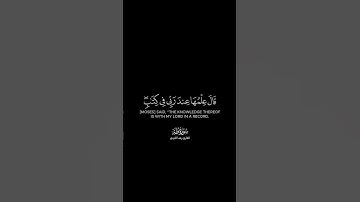 قال فمن ربكما يا موسى شاشة سوداء | كرومات قرآن كريم بصوت #رعد_الكردي |#سورة_طه