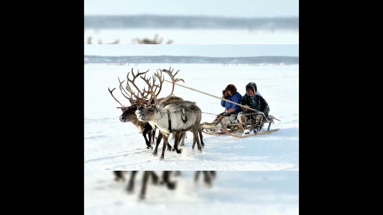 Жизнь после севера в ютубе. Жизнь после севера в ютубе
