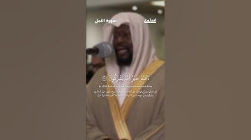 آية 59 من سورة النمل للقارئ عيسى سناكو