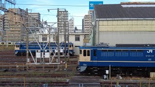 EF65 1115+DE10　[2024.11.5] 