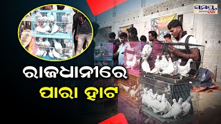 ରାଜଧାନୀର ପାରା ହାଟ | Odia News Live Updates | Latest Odia News | @Samayalive