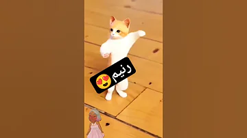 حسب الطلب الحلوة رنيم الجزائر العراق Maroc مصر قطر الكويت السعودية Shorts المغرب 