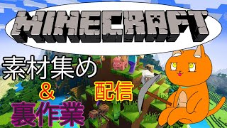 《マイクラ》のんびり、マイクラ。パート３6「アルマジロ使った経験値トラップつくり！」《猫ヶ居キョウ》《＃新人vtuber》