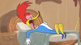 Woody Woodpecker | Woody's Sleepover + More Full Episodes