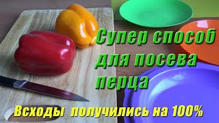 Беспроигрышный способ посадки перца!!!Супер!Семена проросли все!