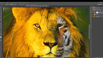 Photoshop cs6 tutorial for Beginners- layer masking