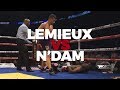 David Lemieux vs Hassan N'Dam ( Very rare Footages, EXCLUSIVE )