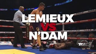 David Lemieux vs Hassan N'Dam ( Very rare Footages, EXCLUSIVE )