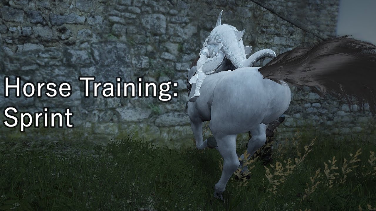 Bdo Horse Training Sprint Youtube