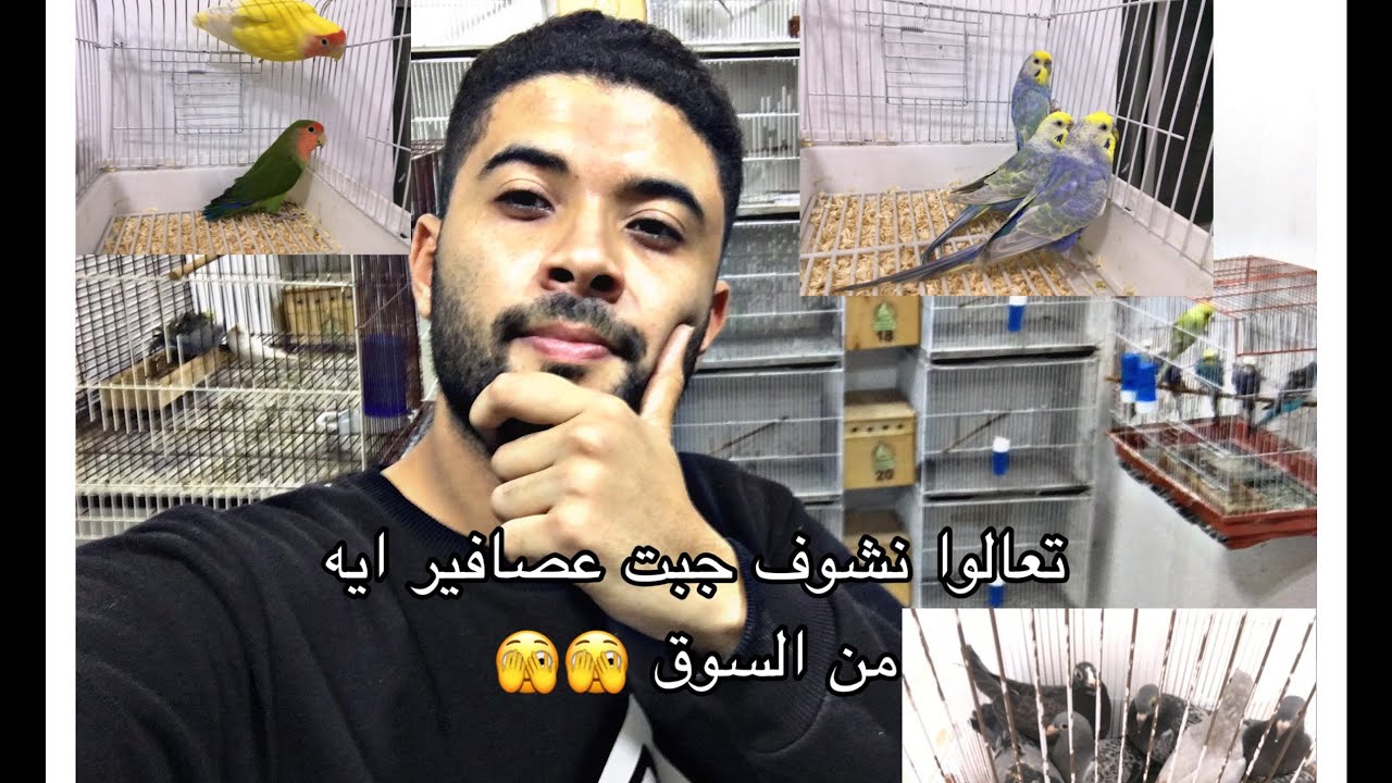 تعالوا نشوف جبت ايه من السوق 😉😉جبت حاجات اول مرة اربيها - YouTube