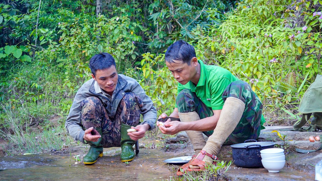 Cơm Rừng Cuối Vụ Mật Ong 2025