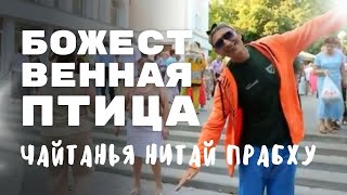 картинка: Божественная птица Чайтанья Нитай прабху