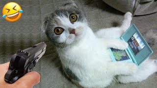 Funniest Animals 🤣 Hilarious Cats and Dogs 2024 😹🐶 Part 29 by Crazy Pets  49,708 views 1 month ago 30 minutes