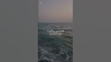 قران كريم #اجر_لي_ولك #القاريء #سعد_الغامدي
