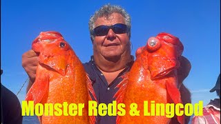 Huge Rock Fish & Lingcod on the Stardust