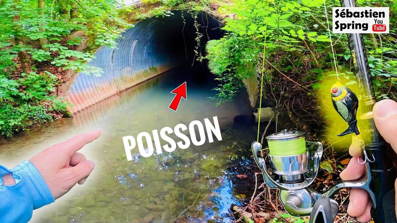 Pêche en STREET FISHING à Bourges : un poisson sous chaque pont !!!