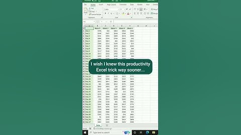 Split Your Excel Screen In Half  | Advance Excel Formula | MyExcelGeeks