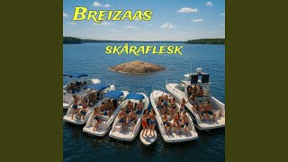 Skåraflesk