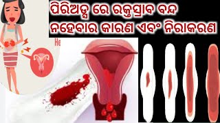 ପିରିଅଡ୍ସ ରେ ରକ୍ତସ୍ରାବ ବନ୍ଦ ନହେବାର କାରଣ। Causes of Heavy bleeding in periods Odia Health Tips।Periods