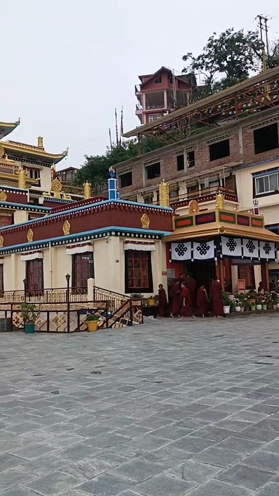 🇮🇳 Dorje Drak Monastery - दोरजे ड्रैक मोनेस्ट्री 📍 Shimla, Himachal Pradesh, India.
