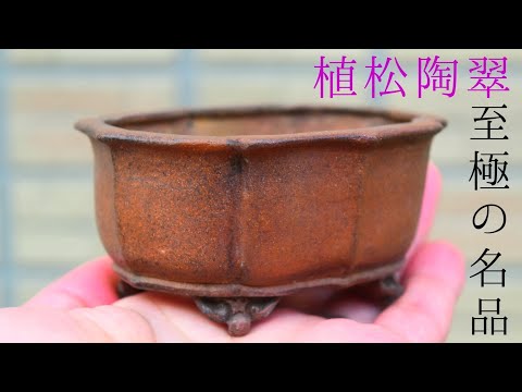 陶翠鉢　盆栽鉢　3点セット① hqdefault.jpg