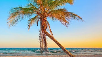 An Introduction to Hypnotherapy