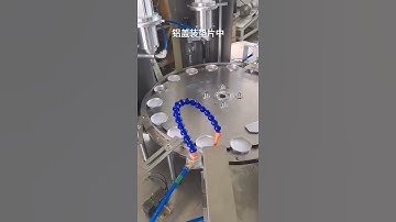 Automatic dual head aluminum cap wadding wad inserting machine