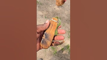 lil single band banger slingshot @KBazzy style.its very fun and fun to make #catapults#slingshot