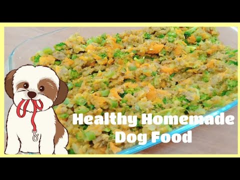 healthy-homemade-dog-food-l-food-for-yor-dog-ph-l-phillipines