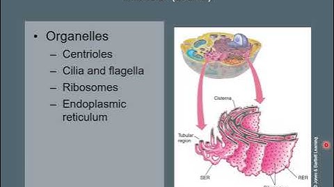 AEMT CH07 PPT lecture
