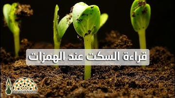 آيات من سورة الطور بقراءة السكت على المنفصل بصوت القارئ محمد صدّيق المنشاوي رحمه الله
